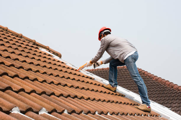 Professional Roofing servicies in Renville, MN